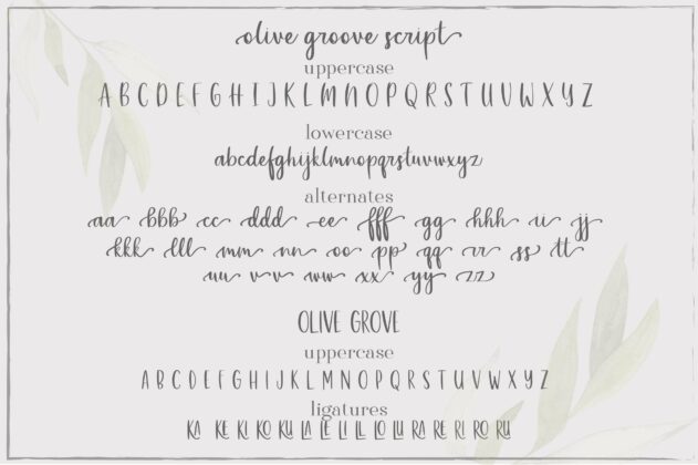 Olive Grove Poster 5
