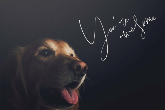 Orenda - Script font Poster 5