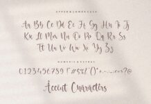Oriental Dream Modern Calligraphy Font Poster 1