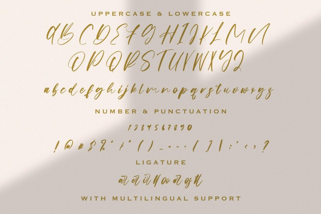 Origa Script - Handwritten Font Poster 5