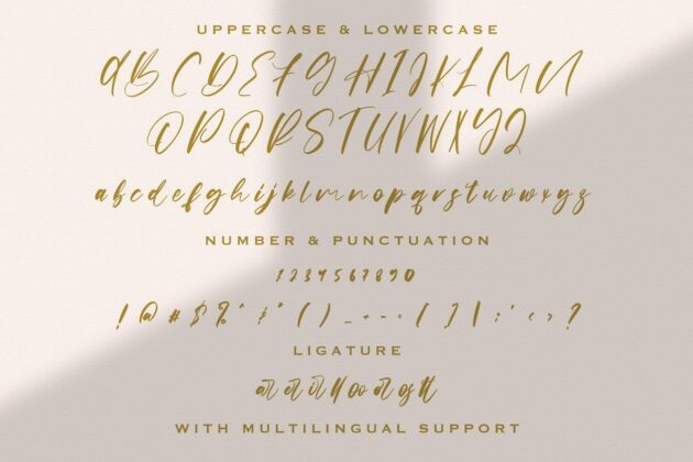 Origa Script - Handwritten Font Poster 5