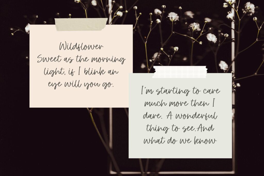 Proposal Poster 5