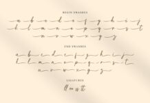 Purelines - Calligraphy Font Poster 1