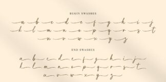 Purelines - Calligraphy Font Poster 1