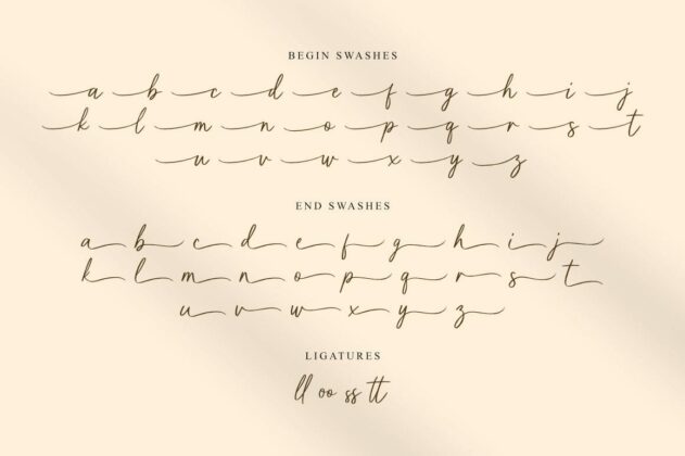 Purelines - Calligraphy Font Poster 1