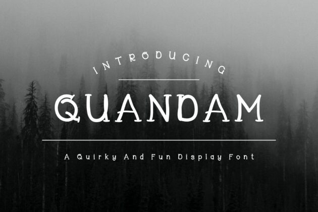 Quandam - A Quirky and Fun Display Font Poster 7