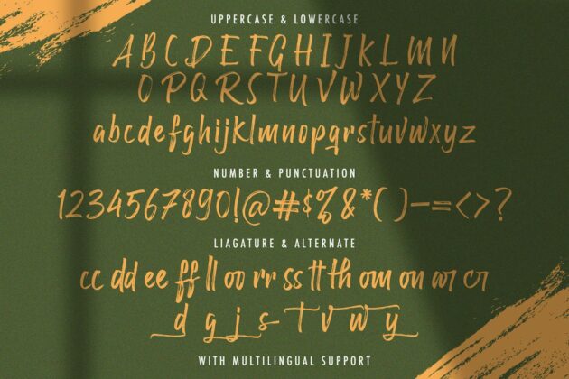 Raffles Bryant - Textured Brush Font Poster 5
