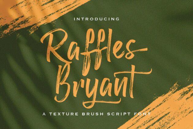 Raffles Bryant - Textured Brush Font Poster 8