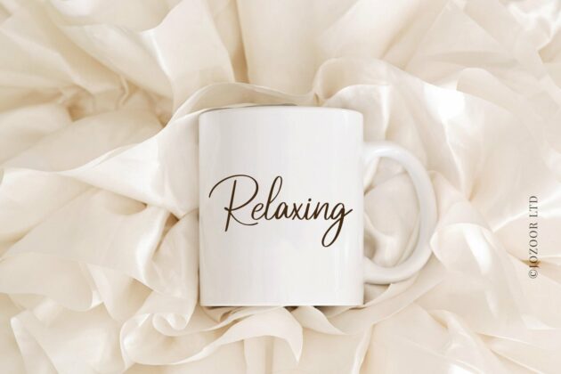 Randy Sofia - Lovely Script Font Poster 2