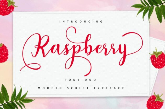 Raspberry Font Duo Poster 9
