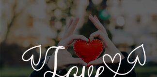 Regina Lover Script Poster 1