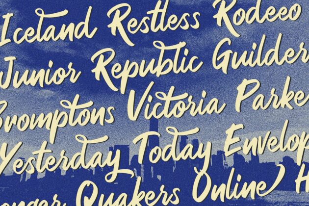 Rezojas - Bold Script Font Poster 4