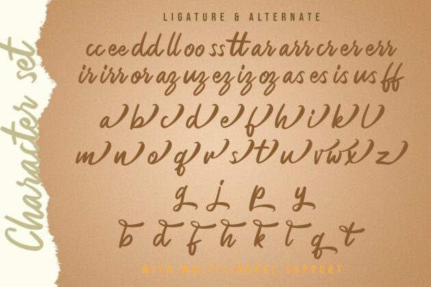 Rezojas - Bold Script Font Poster 8