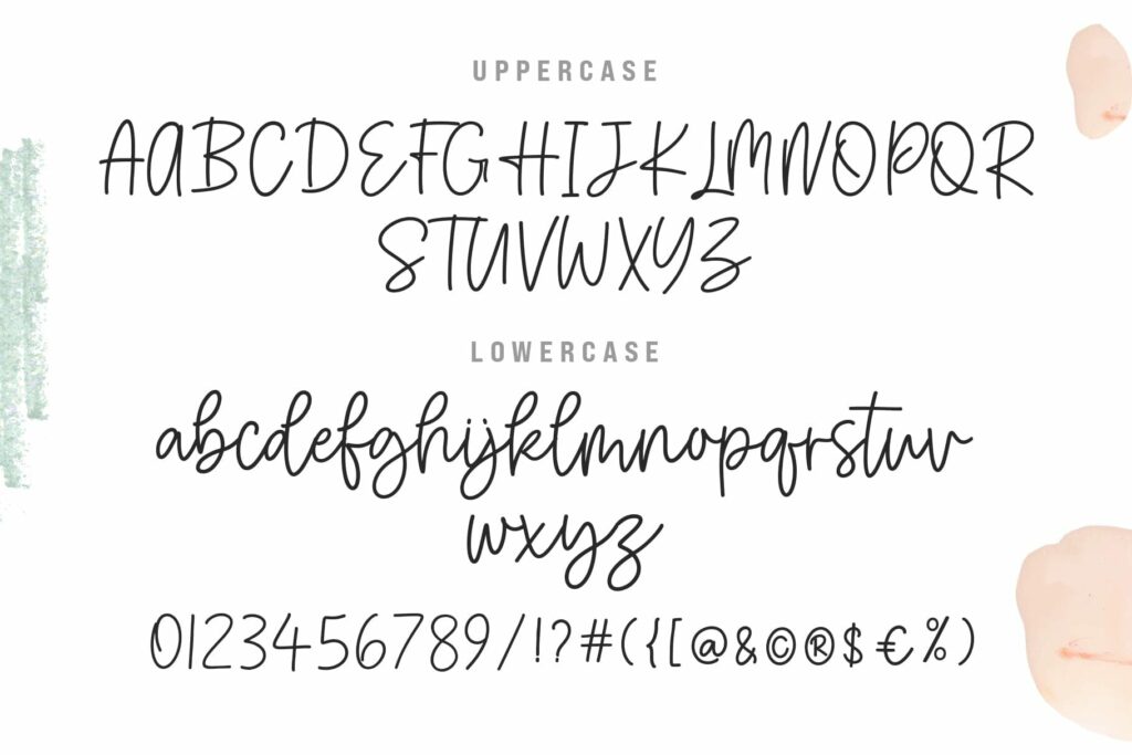 Riley Declan - Signature Script Font Poster 7