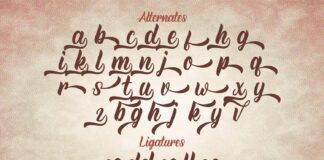 Rineghan - Bold Script Font Poster 1