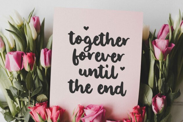 Romantic Knight Handwritten Script Font Poster 1