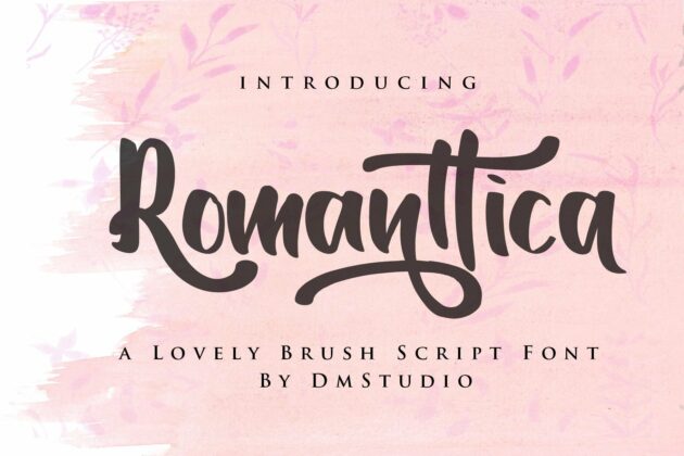 Romanttica - Modern Script Brush Font Poster 10