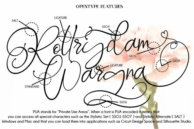 Rottrydam Wargna Poster 1
