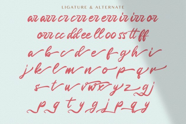 Rugani Payne - Textured Brush Font Poster 2