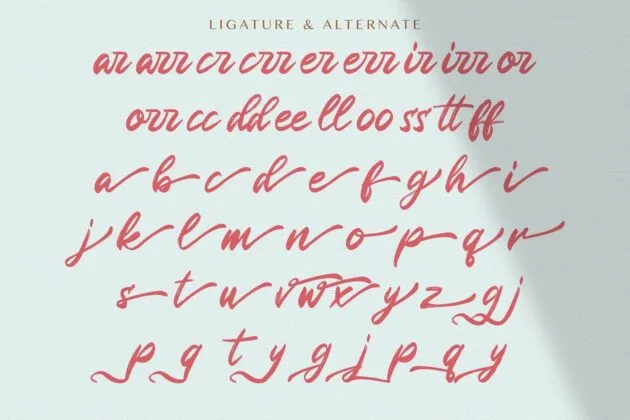Rugani Payne - Textured Brush Font Poster 2