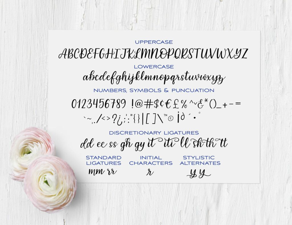 Sailmaker Script A Modern Minimalistic Hand Lettered Font Fonts for Cricut, Fonts for Silhouette, Fonts for Procreate, Alphabet, Calligraphy, Wedding Font Poster 2