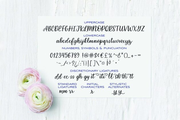 Sailmaker Script A Modern Minimalistic Hand Lettered Font Fonts for Cricut, Fonts for Silhouette, Fonts for Procreate, Alphabet, Calligraphy, Wedding Font Poster 8
