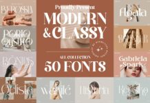 Sale! Mega Bundle 50 Modern And Classy Serif Font Bundle. Poster 1