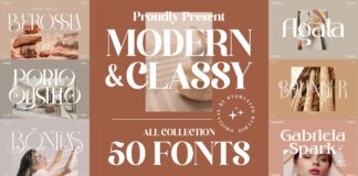 Sale! Mega Bundle 50 Modern And Classy Serif Font Bundle. Poster 1
