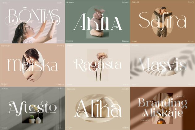 Sale! Mega Bundle 50 Modern And Classy Serif Font Bundle. Poster 5