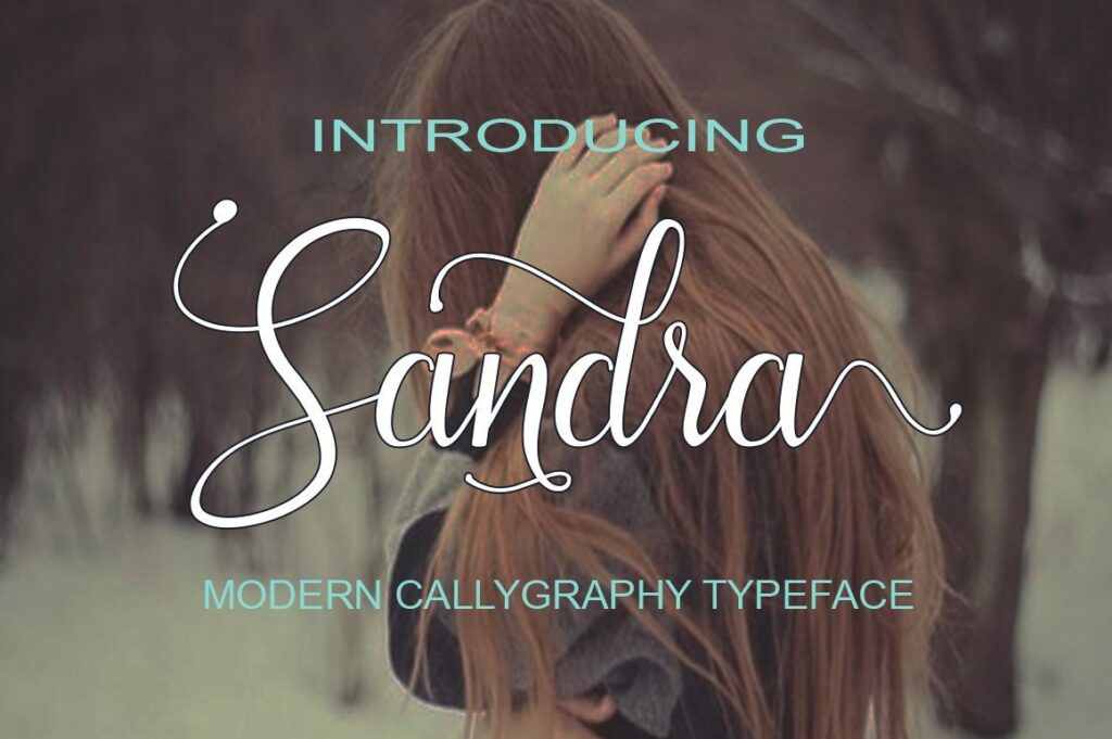 Sandra Poster 3