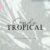 Sands Tropical Font Duo (Craft Fonts, Handwritten Fonts, Font Duos, Wedding Fonts)