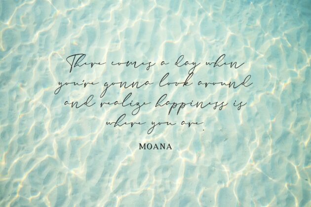 Sands Tropical Font Duo (Craft Fonts, Handwritten Fonts, Font Duos, Wedding Fonts) Poster 7