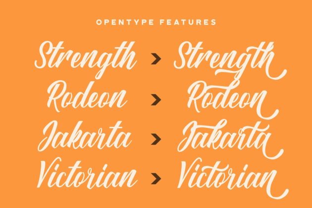 Sang Ratu - Vintage Script Font Poster 6