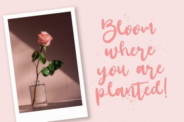 Santtuy - Handwritten Font Poster 6