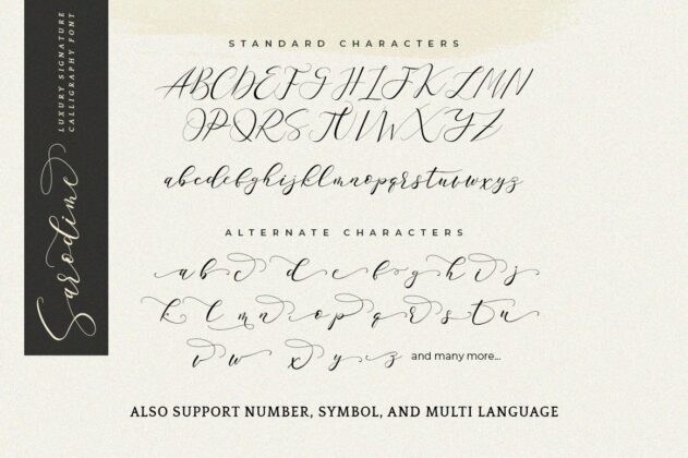 Sarodime Script Poster 2