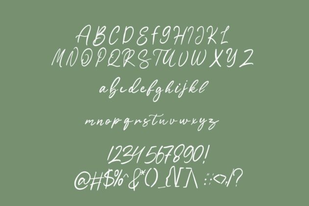 Sartadi Script Font Poster 6
