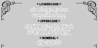 Say it Softly Font Poster 1