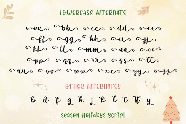 Season Holidays Font Trio Poster 9