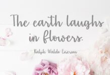 Sentiments Font Poster 1