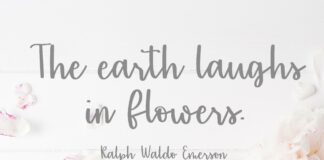 Sentiments Font Poster 1