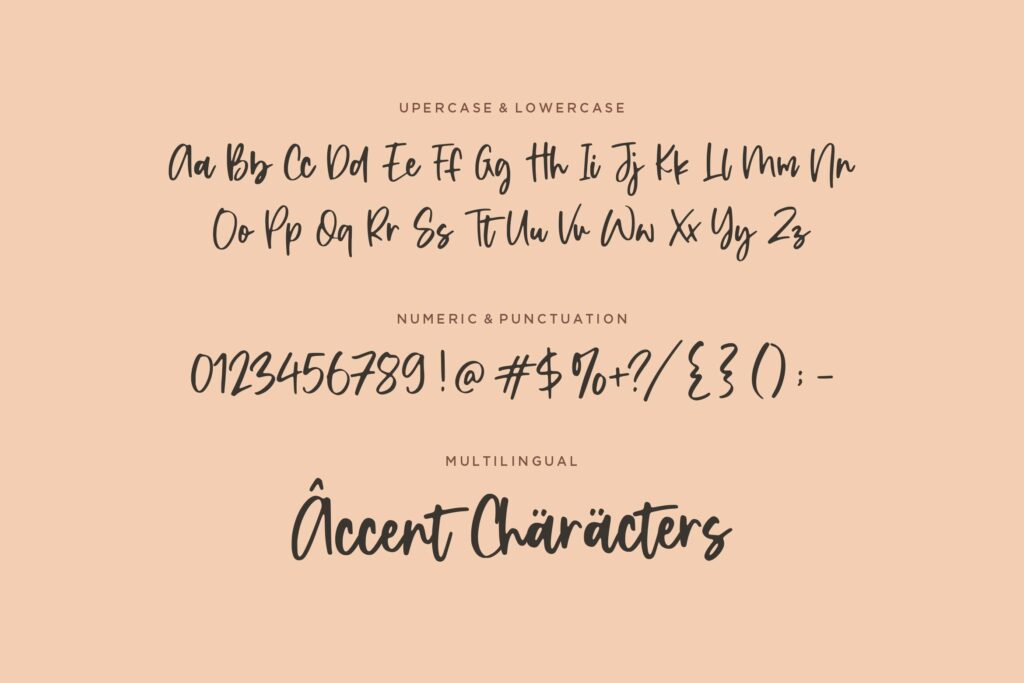 Shadow Party Handwritten Script Font Poster 6