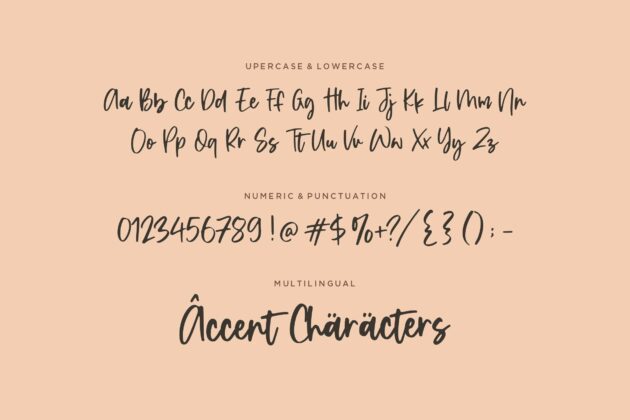 Shadow Party Handwritten Script Font Poster 6