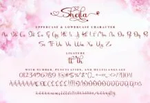 Sheila Sheila Poster 1