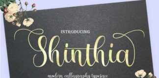 Shinthia Poster 1