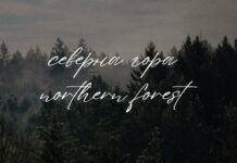 Sign That - Signature font Poster 1