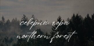 Sign That - Signature font Poster 1