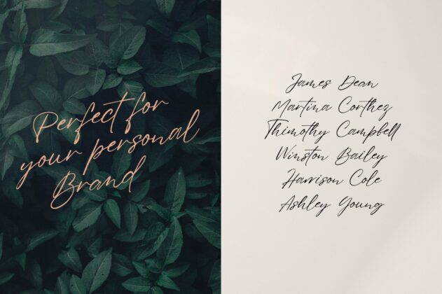 Sign That - Signature font Poster 7