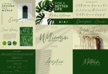 Signature Font Bundle Vol 2 Poster 1