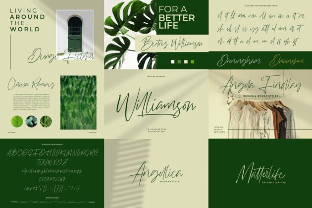 Signature Font Bundle Vol 2 Poster 1