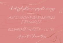 Silent Caroline Luxury Monoline Script Font Poster 1